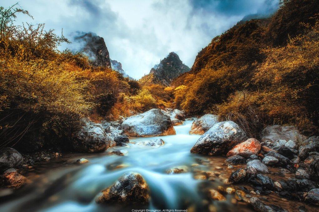 春雨直播app