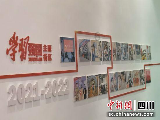 动物帮帮忙保卫家园